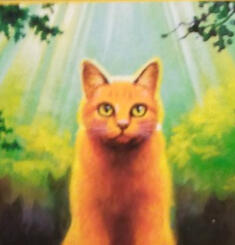 Warrior Cats